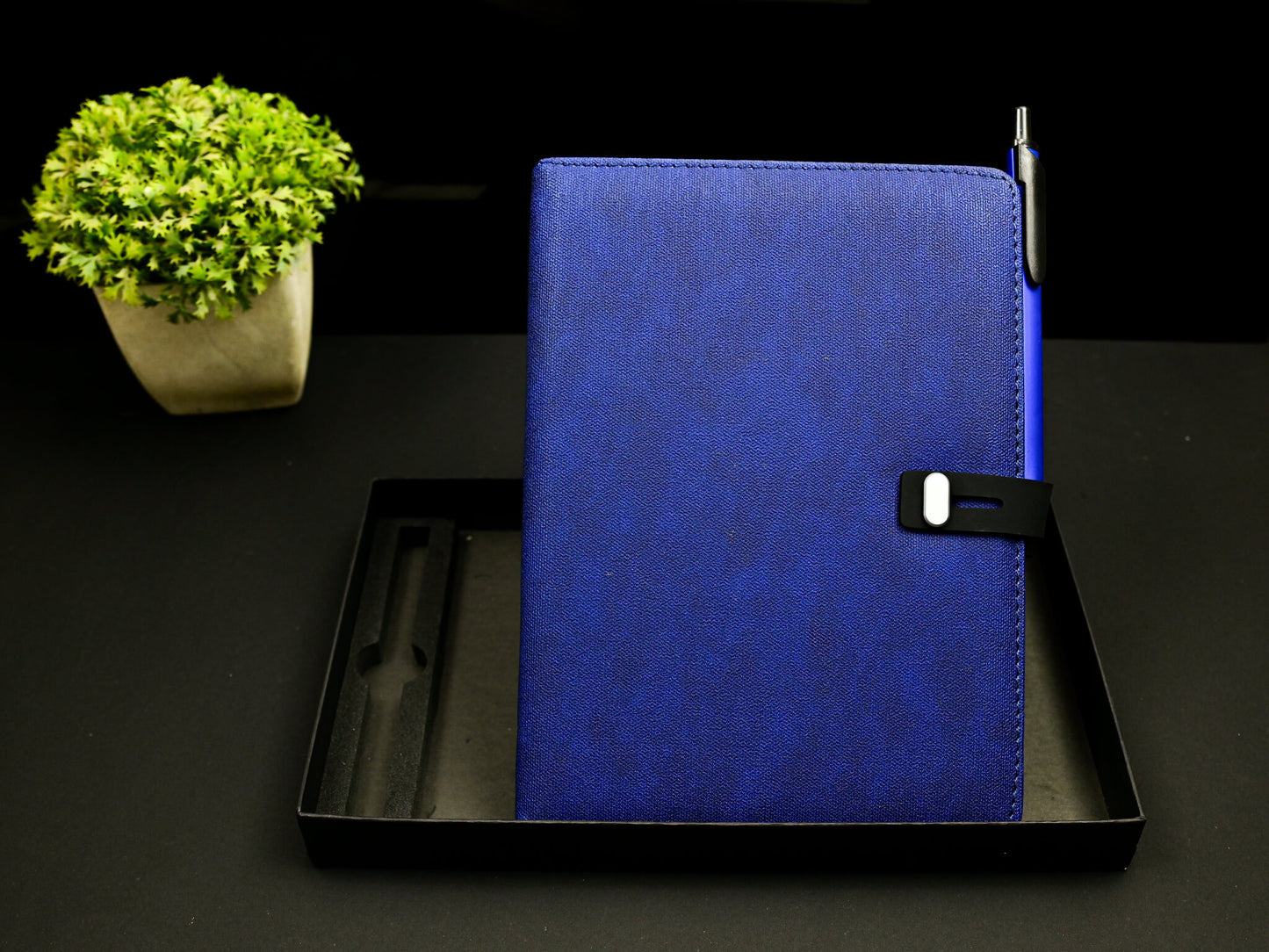 Blue Pen Diary Combo
