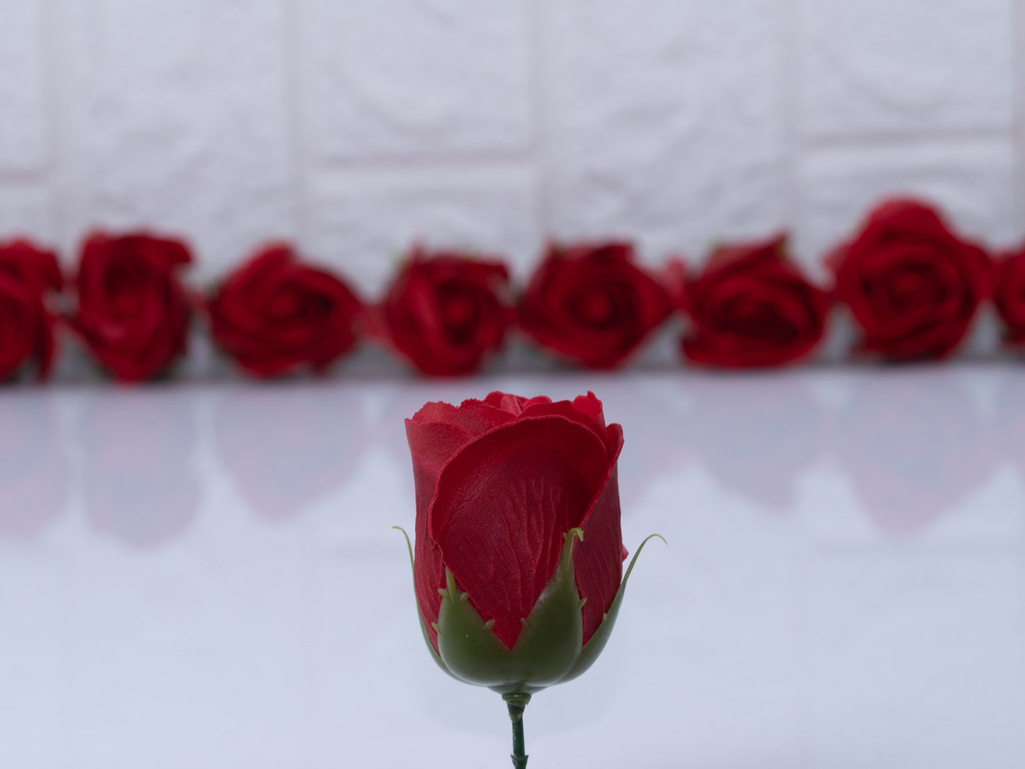 Scented rose red