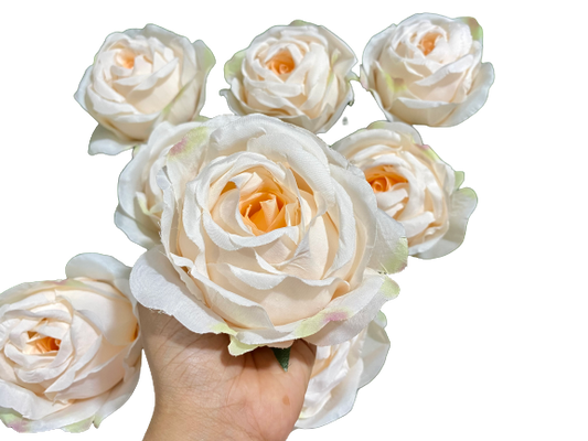 Jumbo white rose - Wonderkraftz™