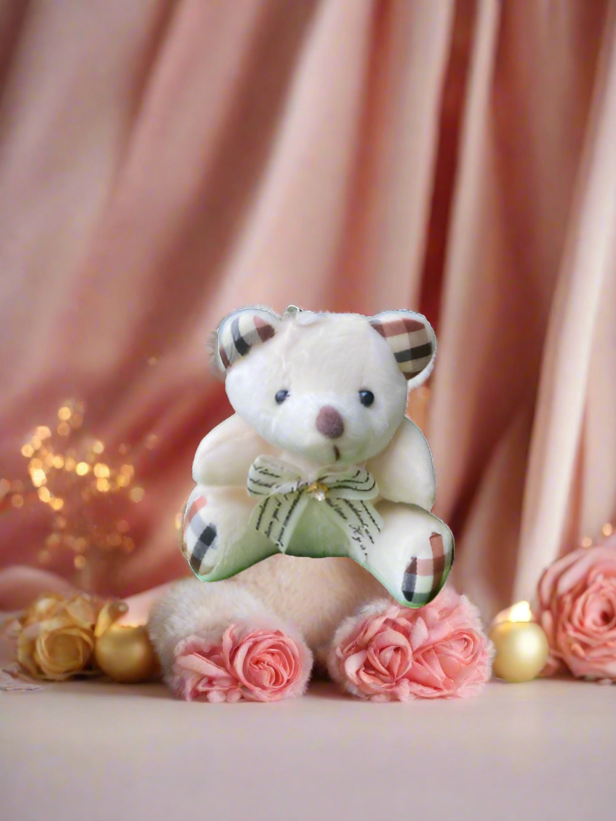 Teddy #11