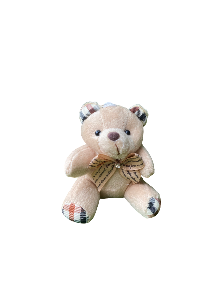 Teddy #6