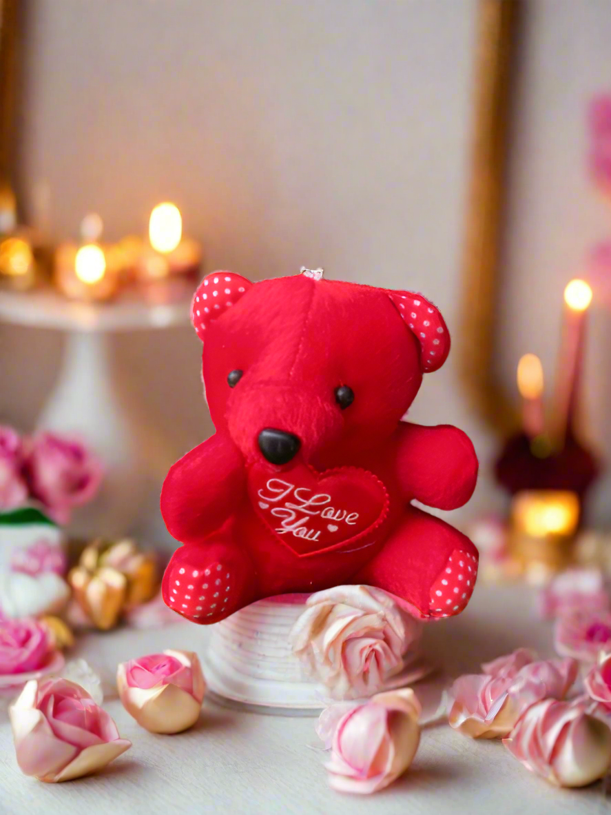 Teddy #5