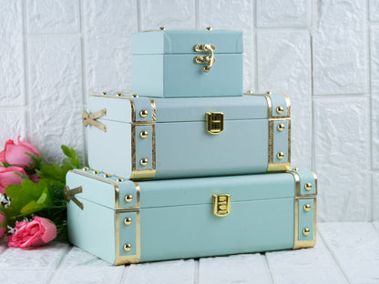 Leatherite mint green trunk combo