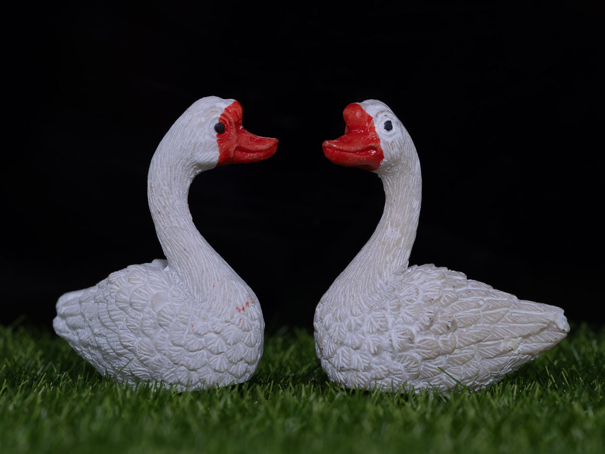 Mini Swans Miniature Swan Figurine for Decor | Wonderkraftz - Wonderkraftz™