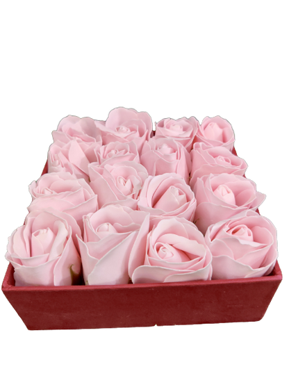 Baby pink scented rose (pack of 10)