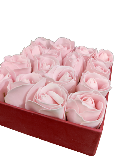 Baby pink scented rose (pack of 10)
