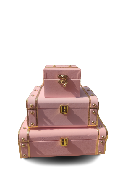 Leatherite baby pink trunk combo