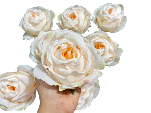 Jumbo white rose - Wonderkraftz™